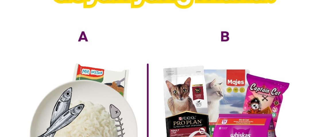 Perbandingan antara piring berisi nasi dan ikan untuk kucing dengan berbagai merek pakan kucing komersial premium