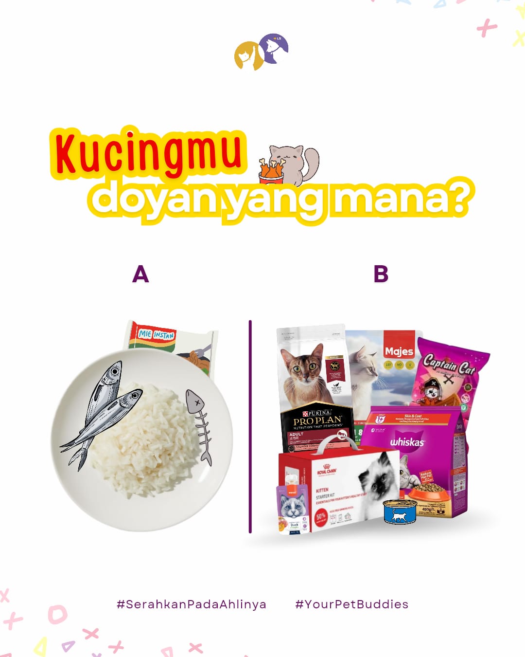 Perbandingan antara piring berisi nasi dan ikan untuk kucing dengan berbagai merek pakan kucing komersial premium