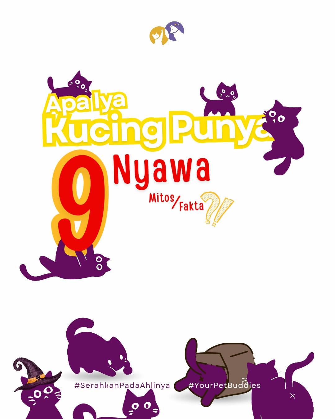 Poster ilustrasi kucing ungu menanyakan mitos atau fakta kucing punya 9 nyawa dari Lingkar Satwa Animal Care Surabaya