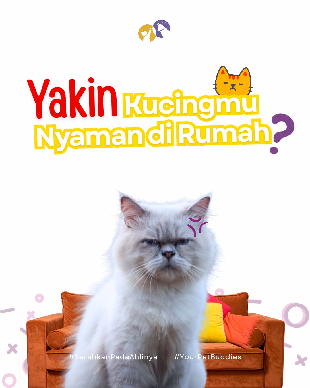 Seekor kucing putih berwajah kesal menunjukkan ekspresi sebagai ilustrasi tanda kucing stres dan tidak nyaman di rumah.